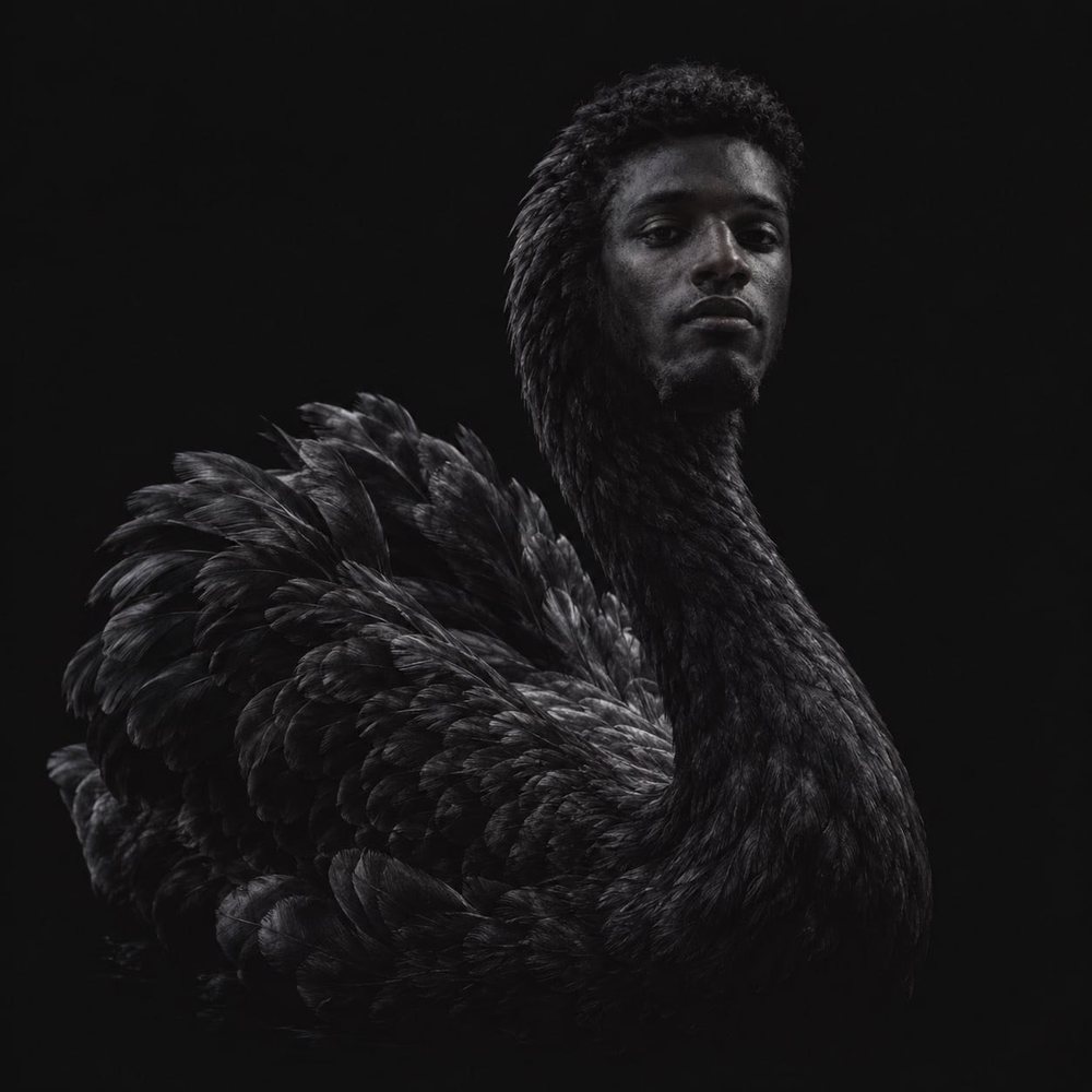 Swansem: a black swan with a man's face